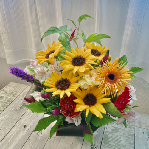 8888DAFC-850D-451B-9889-8EF48FF8F56A_1_201_a